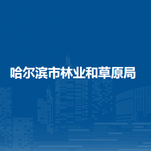 哈尔滨市林业和草原局各部门负责人和联系电话