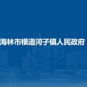 海林市横道河子镇政府各职能部门联系电话