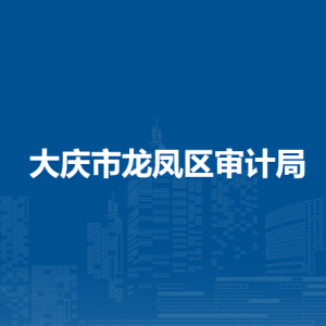 大庆市龙凤区审计局各部门职责及联系电话