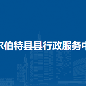 杜尔伯特县各乡镇便民服务中心地址和联系电话