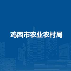 鸡西市农业农村局各部门负责人和联系电话