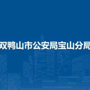 双鸭山市宝山区政府各职能部门地址工作时间和联系电话