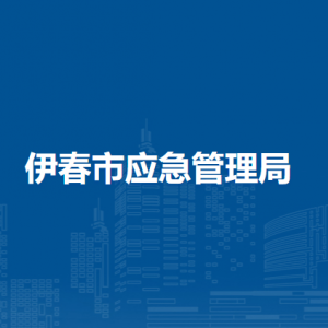 伊春市应急管理局各部门负责人和联系电话