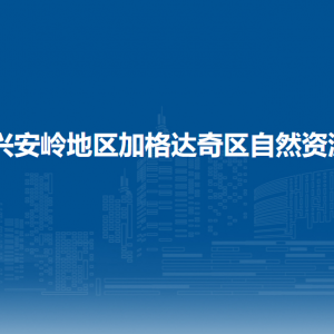 大兴安岭地区加格达奇区自然资源局各部门联系电话