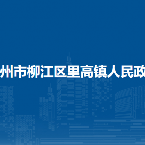 柳州市柳江区里高镇政府各部门负责人和联系电话