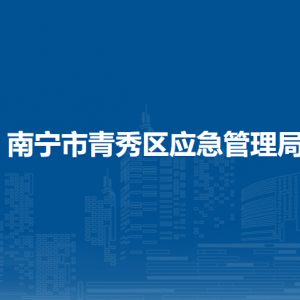 南宁市青秀区应急管理综合行政执法大队联系电话