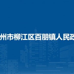 柳州市柳江区百朋镇人民政府各部门联系电话