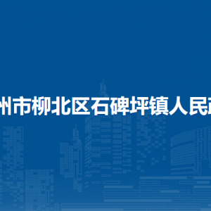 柳州市柳北区石碑坪镇政府各部门工作时间及联系电话