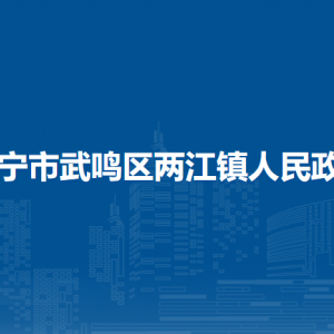 南宁市武鸣区两江镇人民政府各部门负责人和联系电话