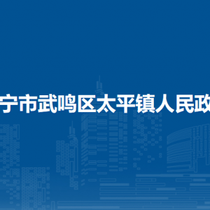 南宁市武鸣区太平镇政府各部门负责人和联系电话