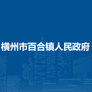 横州市百合镇人民政府下属单位工作时间及联系电话