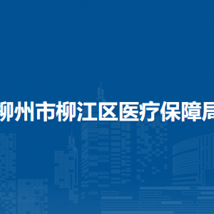 柳州市柳江区医疗保障局各部门负责人和联系电话