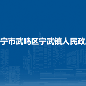 南宁市武鸣区宁武镇人民政府各部门联系电话