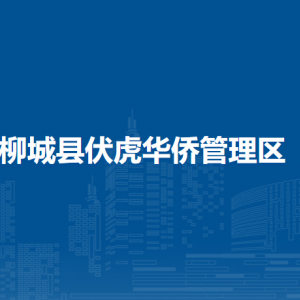 柳城县伏虎华侨管理区各部门负责人和联系电话