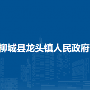 柳城县龙头镇政府各部门负责人和联系电话