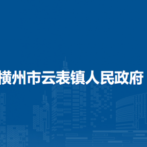 横州市云表镇人民政府下属单位工作时间和联系电话