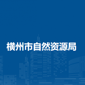 横州市自然资源局各不动产登记窗口工作时间及联系电话