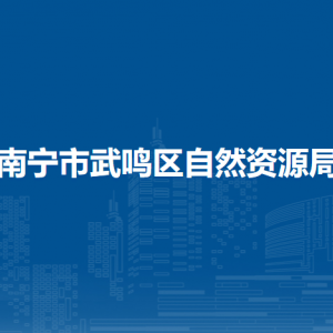 南宁市武鸣区自然资源局各部门负责人和联系电话