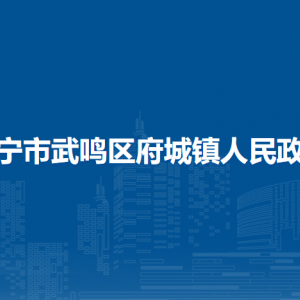 南宁市武鸣区府城镇人民政府各部门负责人和联系电话