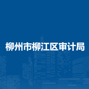 柳州市柳江区审计局各部门负责人和联系电话