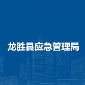 龙胜县应急管理局各部门负责人和联系电话