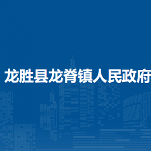 龙胜县龙脊镇人民政府各部门负责人和联系电话