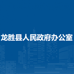 龙胜县人民政府办公室各部门负责人和联系电话