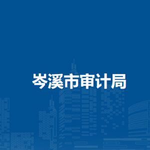 岑溪市审计局各部门负责人和联系电话