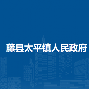 藤县太平镇政府各部门负责人和联系电话