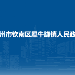 钦州市钦南区犀牛脚镇政府各部门负责人和联系电话