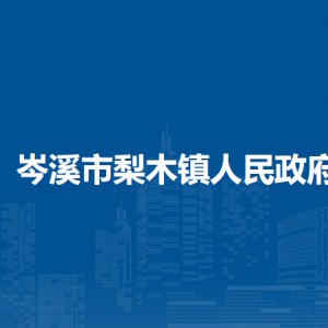 岑溪市梨木镇政府各部门负责人和联系电话