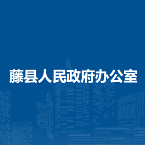 藤县人民政府办公室各部门负责人和联系电话