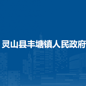 灵山县丰塘镇政府各部门负责人和联系电话