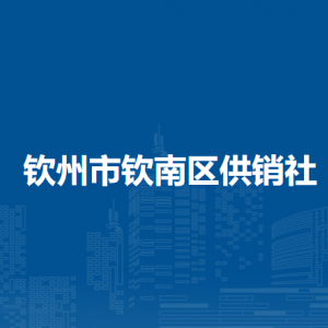 钦州市钦南区供销社各部门负责人和联系电话