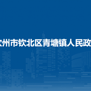 钦州市钦北区青塘镇政府各部门工作时间及联系电话