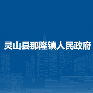 灵山县那隆镇政府各部门负责人和联系电话