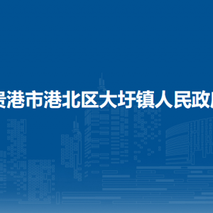 贵港市港北区大圩镇政府各部门负责人和联系电话