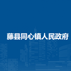 藤县同心镇政府各部门负责人和联系电话