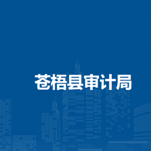 苍梧县审计局各部门负责人和联系电话