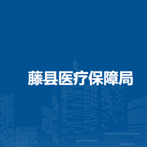 藤县医疗保障局各部门负责人和联系电话