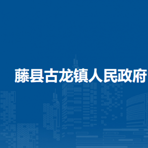 藤县古龙镇政府各部门负责人和联系电话