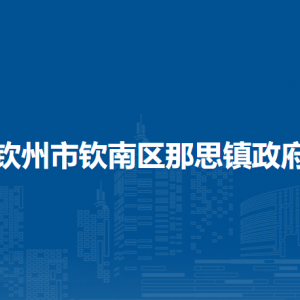 钦州市钦南区那思镇政府各部门负责人和联系电话