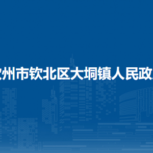 钦州市钦北区大垌镇政府各部门工作时间及联系电话