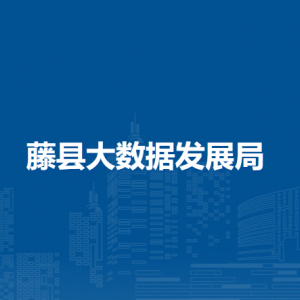 藤县大数据发展局各部门负责人和联系电话