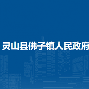 灵山县佛子镇政府各部门负责人和联系电话