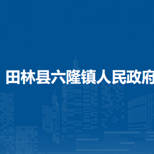 田林县六隆镇政府各部门负责人和联系电话