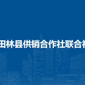 田林县供销合作社联合社各部门负责人和联系电话