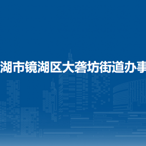 芜湖市镜湖区大砻坊街道便民服务中心（退役军人服务站）