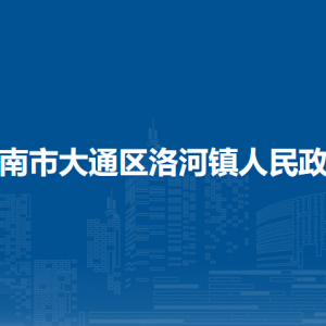 淮南市大通区洛河镇政府党政办公室联系方式