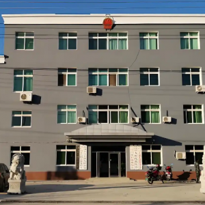 淮南市大通区九龙岗镇党政办公室